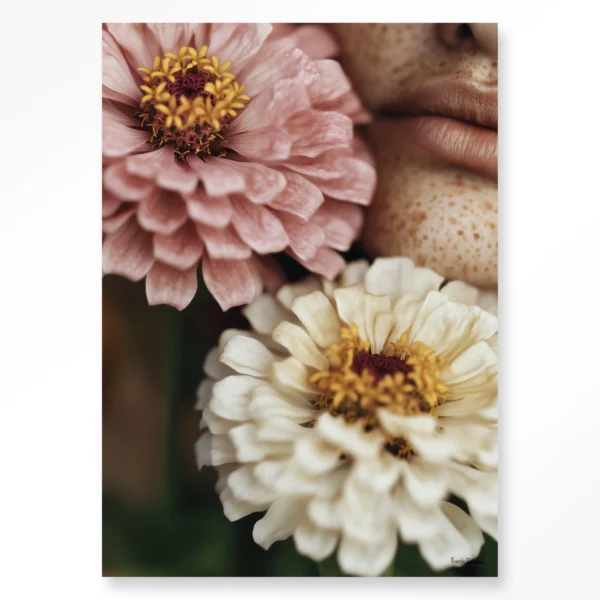 Zinnia